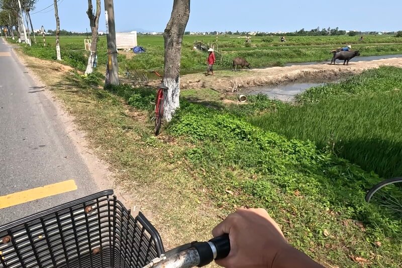 ホイアン旅行記2日目、ビーチに向けて自転車を漕いでいるときの風景