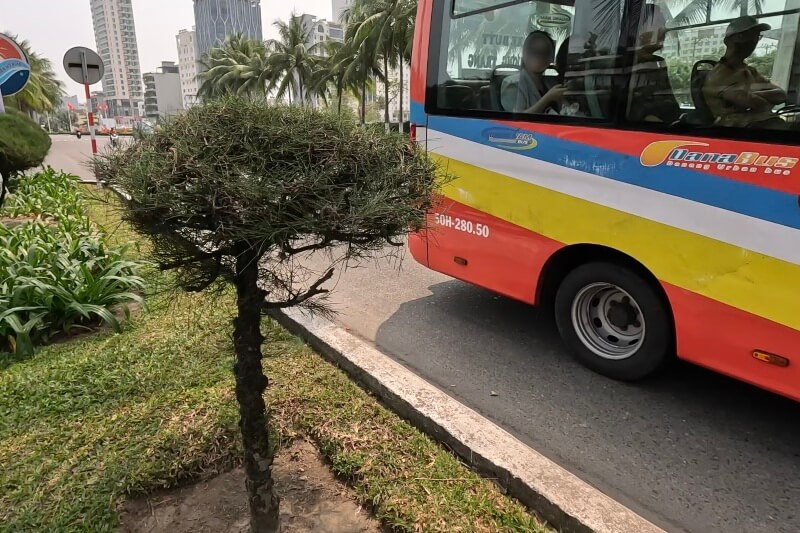 ダナン旅行記2日目、ダナンビーチ近くのバス停でバスを降りたところ