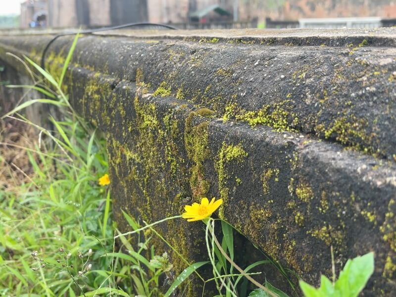 フエ旅行記4日目、グエン朝王宮周辺の風景