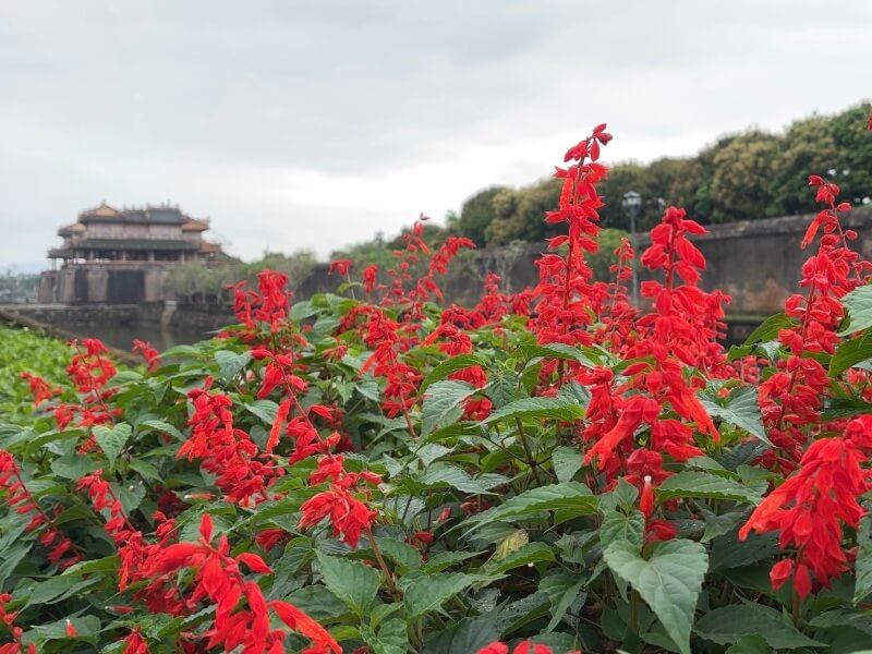 フエ旅行記4日目、グエン朝王宮のお堀の雰囲気